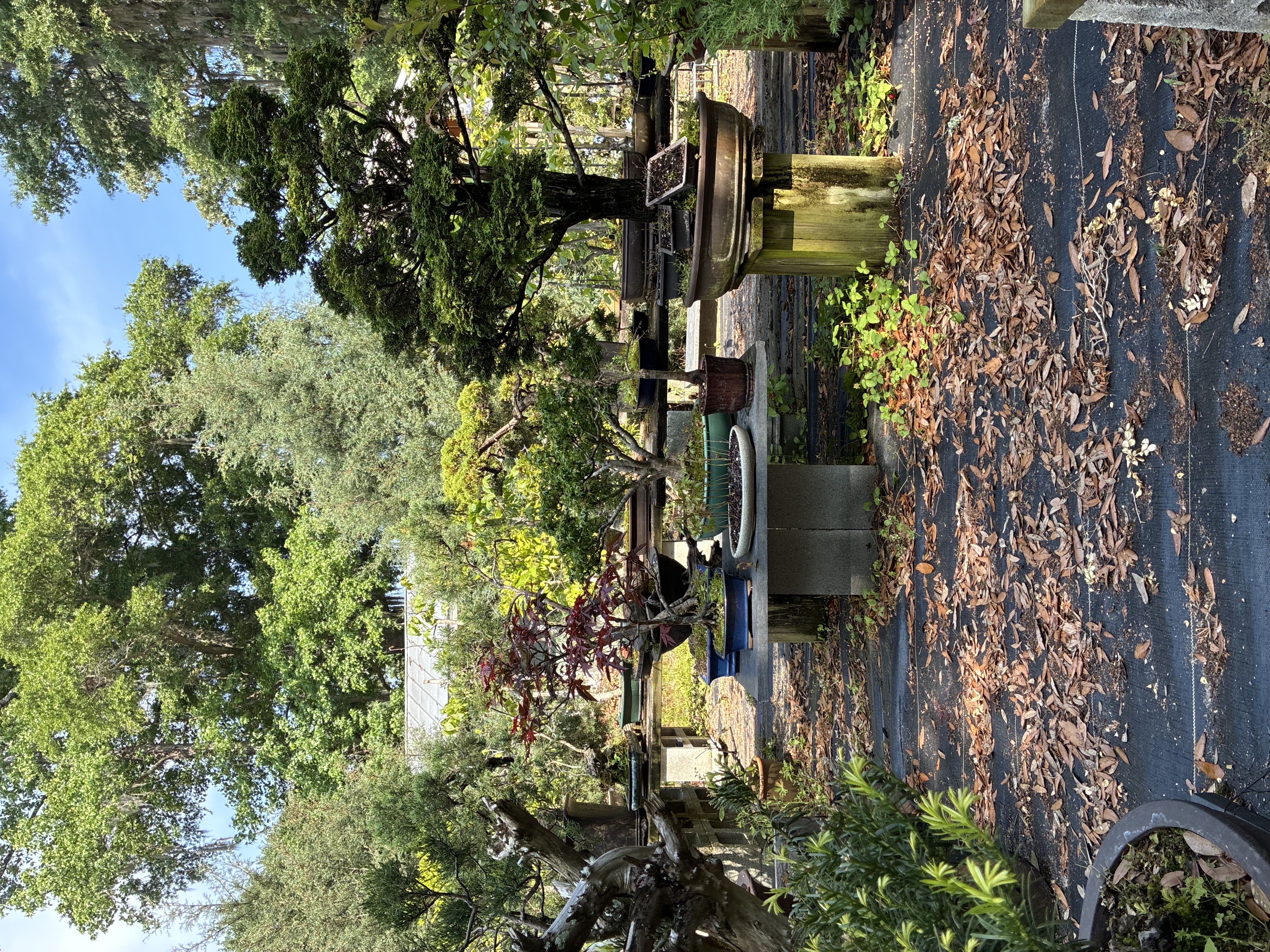 The nursery bench at the Charleston workshop.